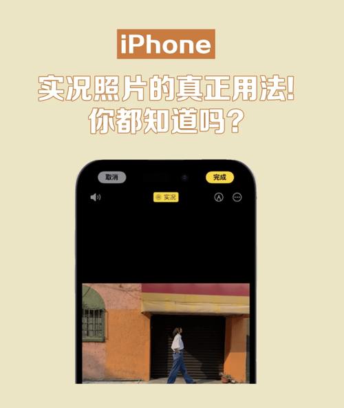 OPPOReno12测评：发Live图，好玩儿！